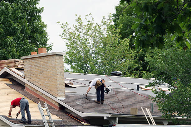 Best Roof Leak Repair  in Forest Lake, MN