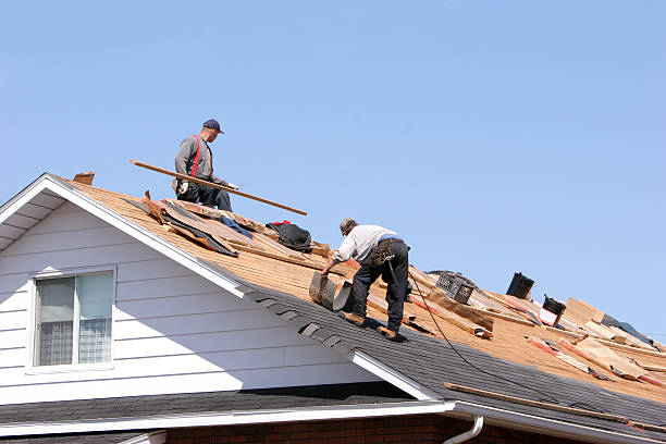 Best Emergency Roof Repair  in Forest Lake, MN