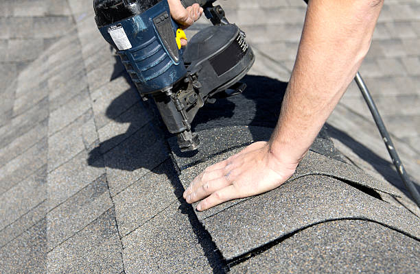 Best Roofing for New Construction  in Forest Lake, MN